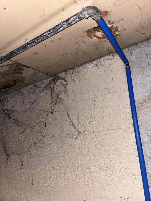 Responded to emergency water leak in basement with active flooding causing property damage. Located failed packing seal on main water supply valve allowing continuous water discharge throughout basement area. Shut off water supply at meter to stop flooding and prevent further damage. Repaired valve by replacing deteriorated packing seal and restoring proper valve function. Tested repair under full water pressure to confirm leak elimination and proper valve operation.