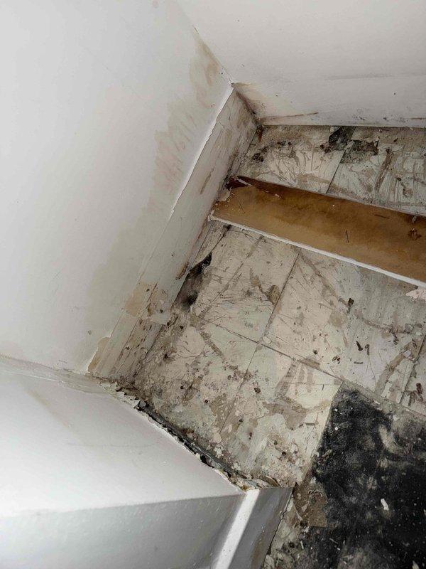 Responded to basement for initial sump pump installation consultation and assessment. Upon arrival, discovered extensive water damage throughout basement area including severely deteriorated walls, flooring, and exposed plumbing infrastructure. Documented significant moisture intrusion with visible mold growth along ceiling-wall junctions and dark staining patterns indicating long-term water exposure. Observed corroded galvanized metal drain pipes with heavy rust accumulation connected to gray PVC drainage line. Wall sections showed substantial drywall damage with exposed wooden framing and studs. Floor tiles exhibited heavy staining, discoloration, and debris accumulation with exposed subflooring visible in damaged areas. Assessed optimal sump pump basin location based on basement grade, existing drainage patterns, and proximity to discharge point. Recommended comprehensive moisture remediation and structural repairs prior to sump pump installation due to severity of existing water da