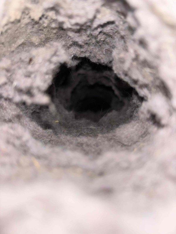 Performed comprehensive dryer vent cleaning service for residential basement installation. Accessed and cleaned the complete dryer venting system from interior basement connection point through exterior termination, which was confirmed to be less than 25 feet above ground level. Removed accumulated lint, debris, and fiber buildup from ductwork to restore proper airflow and reduce fire hazard risk. Verified exterior vent cover was clear of obstructions and functioning properly upon completion.