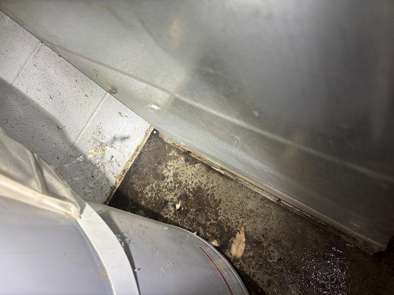 Responded to service call for 6-year-old tanked water heater in garage that had overflowed twice since Thursday. Upon inspection, documented significant moisture-related issues in surrounding area with visible biological growth and debris accumulation in adjacent HVAC components and ductwork. Assessed water heater system for potential overflow sources including temperature and pressure relief valve operation, drain pan condition, and surrounding plumbing connections.