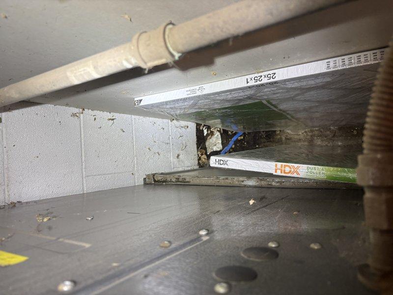 Responded to service call for 6-year-old tanked water heater in garage that had overflowed twice since Thursday. Upon inspection, documented significant moisture-related issues in surrounding area with visible biological growth and debris accumulation in adjacent HVAC components and ductwork. Assessed water heater system for potential overflow sources including temperature and pressure relief valve operation, drain pan condition, and surrounding plumbing connections.