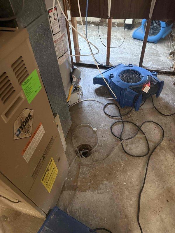 Responded to emergency drain cleaning request for basement bathroom floor drain experiencing backup issues. Upon arrival, found concrete floor with visible water staining and moisture damage, with commercial-grade air movers and drying equipment already in operation to address standing water conditions. Performed drain cleaning service on basement floor drain using cable auger equipment to clear blockage and restore proper drainage. Successfully cleared obstruction and verified drain flow was restored to normal operation.