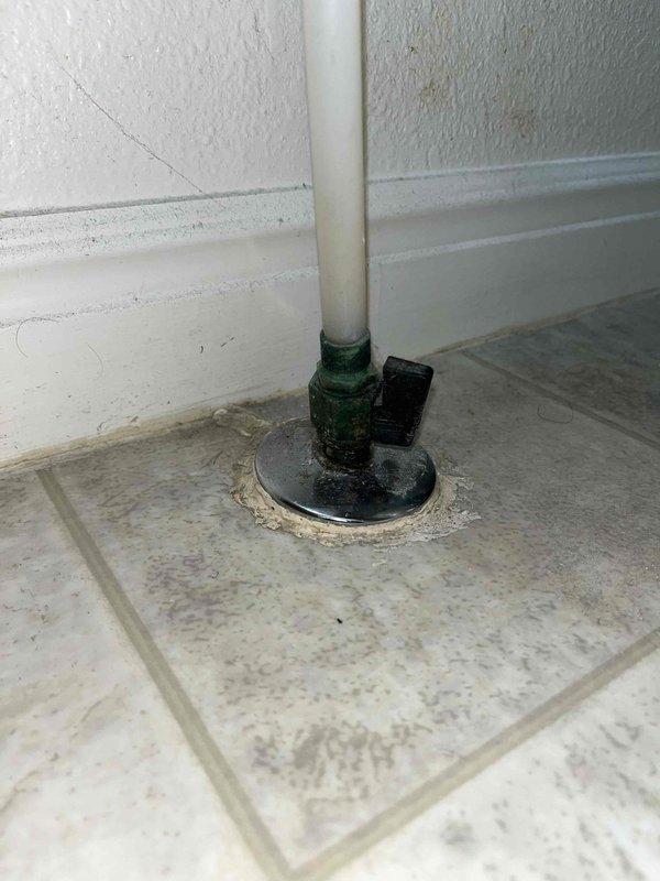 Completed annual plumbing maintenance inspection including comprehensive evaluation of all accessible plumbing fixtures, water supply lines, drainage systems, and water heater. Inspected floor drain in utility area and documented significant mold and mildew buildup around PVC pipe connection at drain cover, recommending cleaning and potential seal replacement. Examined water heater and HVAC system installation, verified proper operation of copper supply lines and ball valve shutoffs. Provided estimate for bathroom water shutoff valve upgrades as requested.