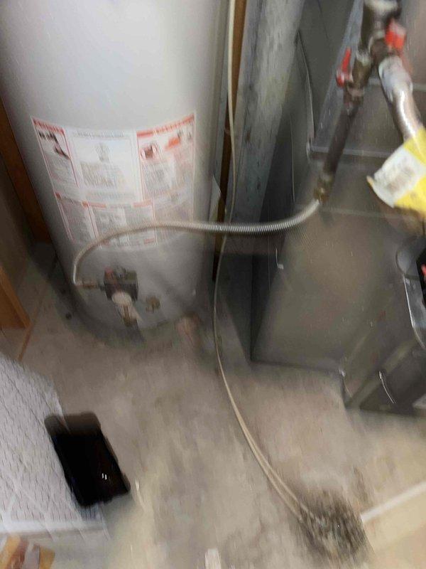 Completed annual plumbing maintenance inspection including comprehensive evaluation of all accessible plumbing fixtures, water supply lines, drainage systems, and water heater. Inspected floor drain in utility area and documented significant mold and mildew buildup around PVC pipe connection at drain cover, recommending cleaning and potential seal replacement. Examined water heater and HVAC system installation, verified proper operation of copper supply lines and ball valve shutoffs. Provided estimate for bathroom water shutoff valve upgrades as requested.