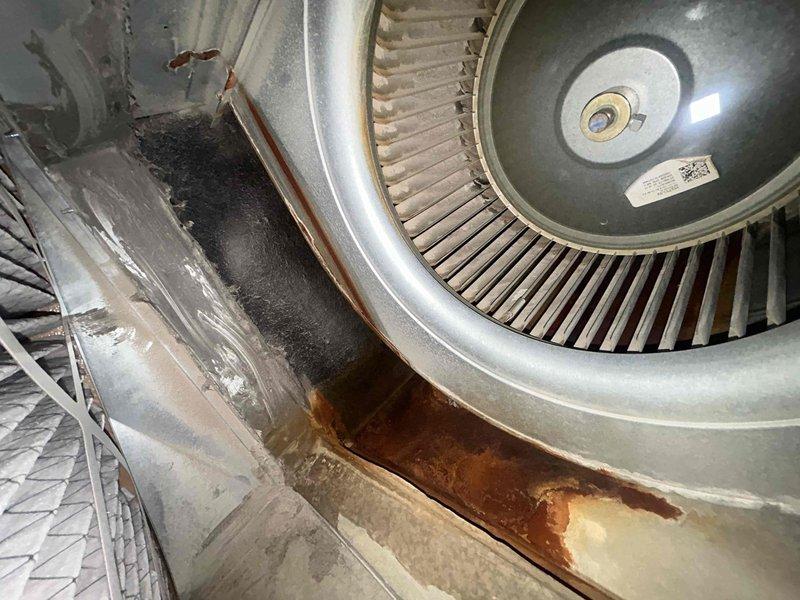 Completed furnace tune-up maintenance on 7-year-old residential heating system with unit located in basement. Performed comprehensive inspection of blower assembly, motor components, and internal electrical connections. Noted moderate rust and corrosion present on interior metal surfaces and housing around blower wheel, along with accumulated dirt and debris in cabinet. Inspected blower wheel condition and verified proper operation. Checked all electrical relays and wiring connections for secure mounting and proper function. System operational at time of service completion.