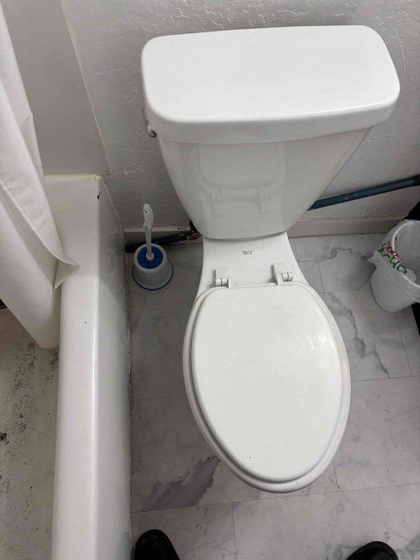 Responded to mainline sewer backup affecting toilet fixture in residential bathroom. Upon arrival, assessed the affected area and documented conditions showing standard bathroom with white porcelain toilet experiencing backup from main sewer line. Performed diagnostic evaluation of the drainage system to identify blockage source and extent of backup issue in the mainline affecting multiple fixtures throughout the property.