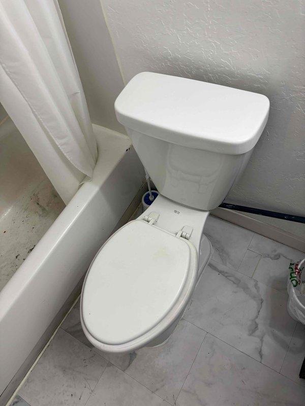 Responded to mainline sewer backup affecting toilet fixture in residential bathroom. Upon arrival, assessed the affected area and documented conditions showing standard bathroom with white porcelain toilet experiencing backup from main sewer line. Performed diagnostic evaluation of the drainage system to identify blockage source and extent of backup issue in the mainline affecting multiple fixtures throughout the property.