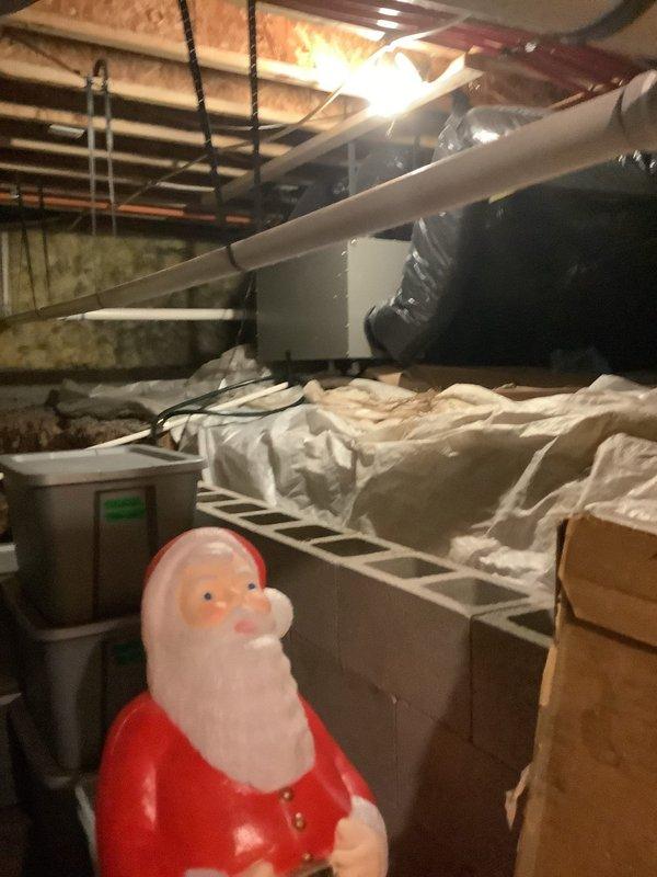 Completed comprehensive maintenance service on a 21-year-old air handler system located in crawlspace and furnace unit. Performed full cooling system tune-up including inspection of evaporator coil, blower assembly, condensate drain line, and refrigerant levels. Conducted heating system maintenance with thorough inspection of heat exchanger, burner assembly, gas connections, and flue venting. Verified thermostat operation and system controls functioning properly. All equipment operating within normal parameters with no reported issues at time of service.
