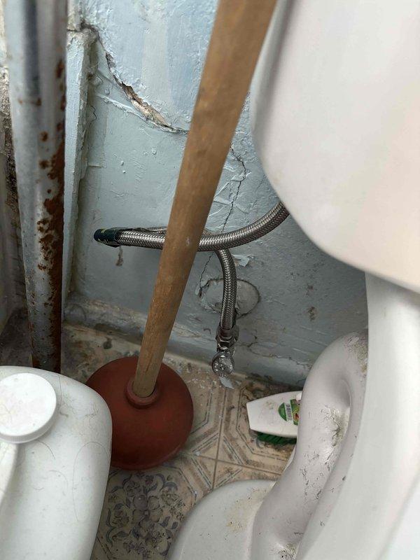 Completed annual plumbing maintenance inspection as part of membership agreement, including comprehensive pressure testing of water supply system, water purity analysis, and water heater flush service. Documented water heater specifications and current condition of plumbing fixtures, noting aging components in toilet tank area with visible corrosion on metal surfaces and deteriorating paint on plumbing access panel.