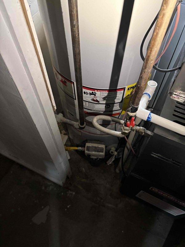 Completed annual plumbing maintenance inspection as part of membership agreement, including comprehensive pressure testing of water supply system, water purity analysis, and water heater flush service. Documented water heater specifications and current condition of plumbing fixtures, noting aging components in toilet tank area with visible corrosion on metal surfaces and deteriorating paint on plumbing access panel.
