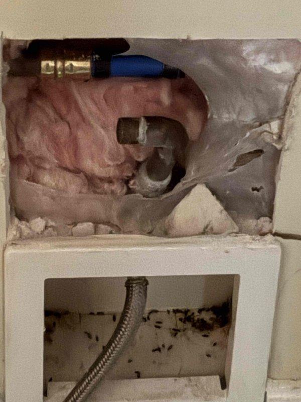 Responded to follow-up service call for water heater leak that developed after previously quoted components failed. Accessed wall cavity and replaced defective brass fittings and connector assembly on supply line. Installed new compression fittings on copper piping, secured shut-off valve with proper sealing, and restored water supply connections to eliminate active leak.