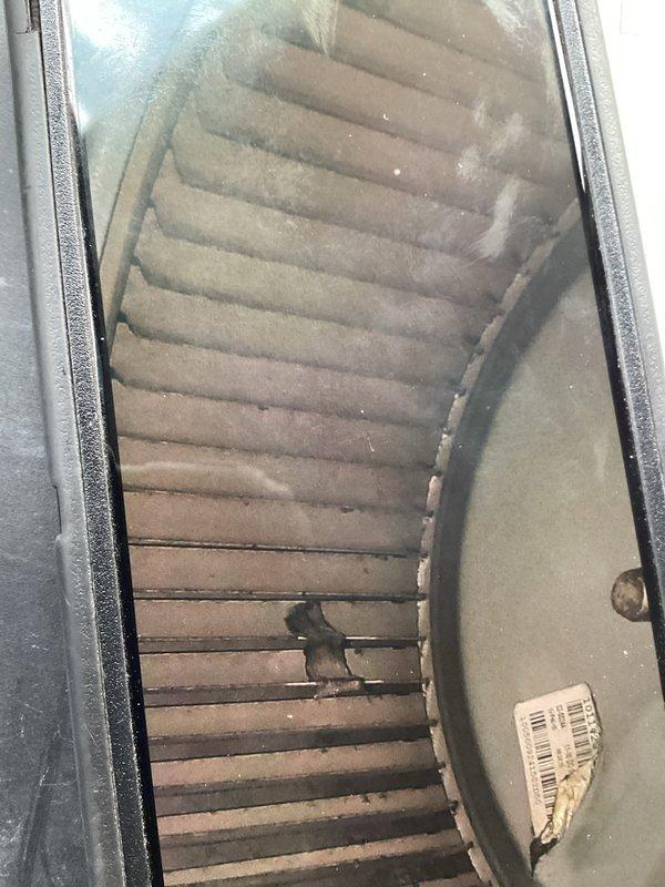 Responded to callback for system blowing warm air with no cooling capability. Inspected indoor unit and found blower wheel heavily contaminated with dust and debris accumulation, restricting airflow and system performance. Documented equipment specifications and current condition with photos for service records.