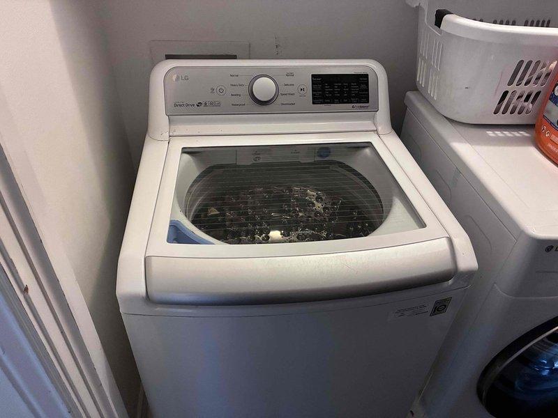 Accessed laundry area and cut open wall behind washing machine to install a 2-inch cleanout fitting for drainage system maintenance. Ran drain snake through the line to remove accumulated lint buildup causing drainage issues. Followed up with mini jetter to thoroughly clear remaining debris and restore proper flow. Reconnected washing machine supply lines and verified system operation upon completion.