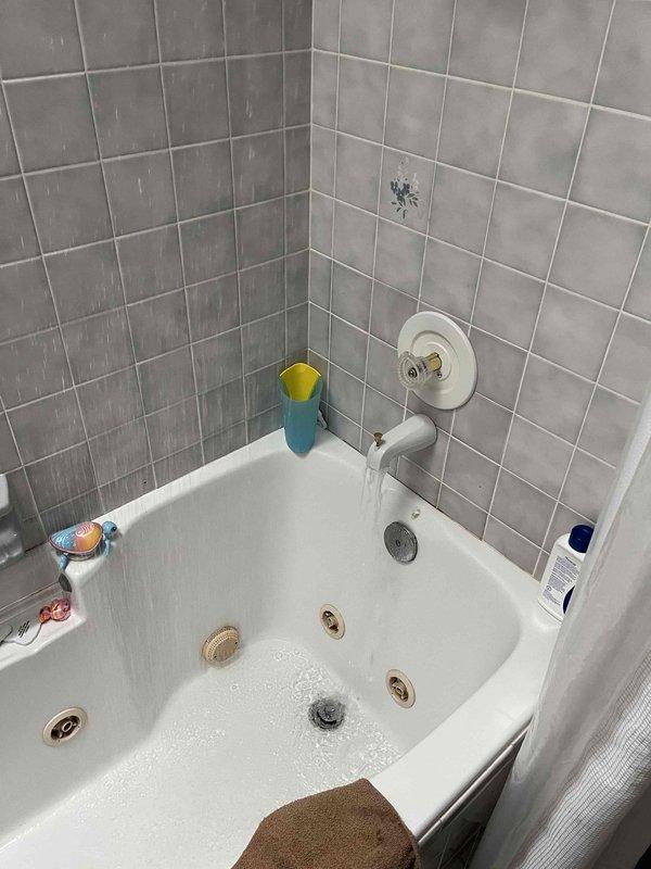 Performed a plumbing maintenance inspection including a system pressure test, water purity test, and water heater flush. Inspected the water heater and found deteriorated insulation and rust staining with mineral deposits around the lower element access panel, indicating possible moisture intrusion or corrosion at the element cover plate. Operated the tub fixtures and confirmed proper water flow at the spout.