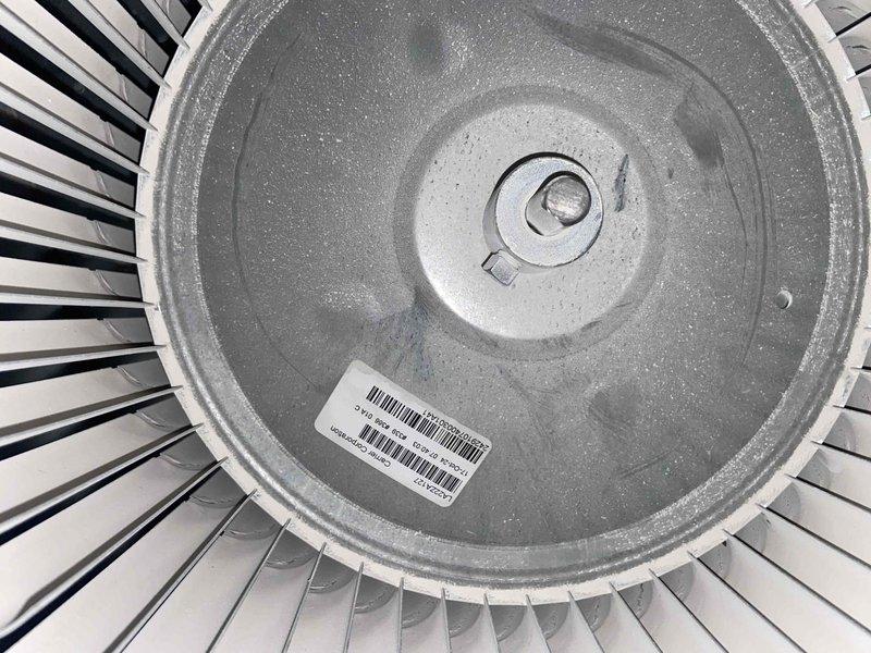 Performed a scheduled membership maintenance inspection on a one-year-old Carrier HVAC system located in the basement. Accessed and inspected the blower assembly, documenting the blower wheel condition with photos; the wheel was dusty with lint buildup on the blades but intact, with no visible rust, cracks, or frost. Also evaluated the customer-reported front doorbell malfunction, which is likely due to a faulty doorbell transformer that may require replacement.