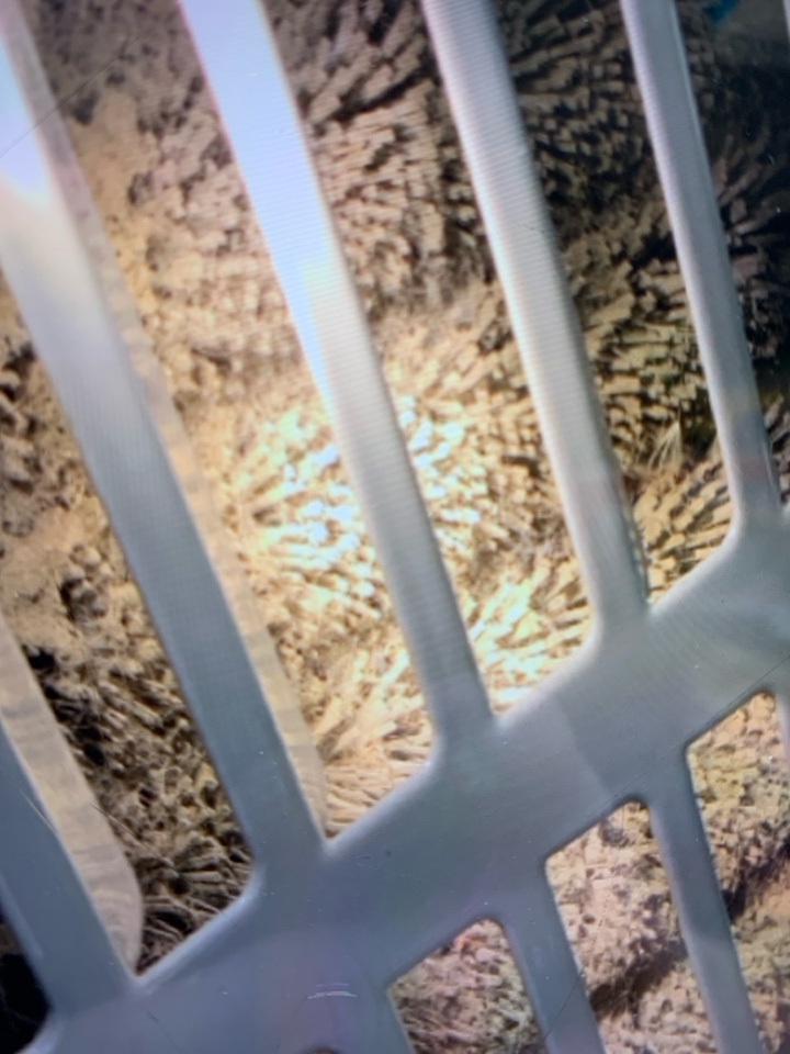 Ac repairs, dirty condenser coil, low dual capacitor 