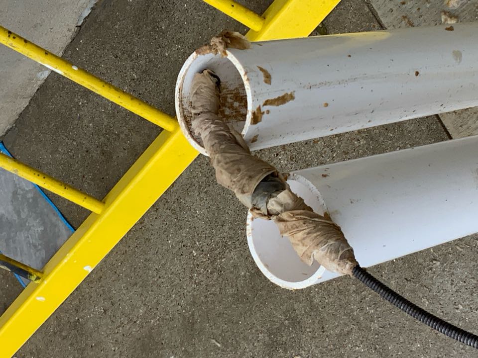 Paper towels removed from sewer system