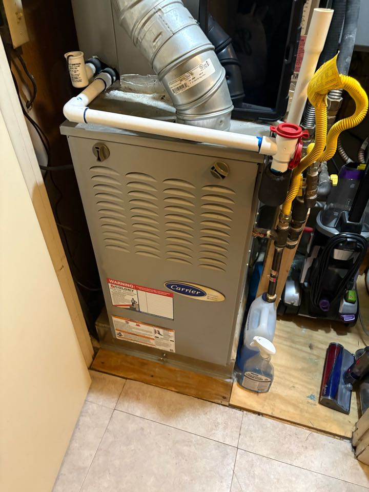 Performed a heating tune up on a carrier gas furnace in Farmers Branch