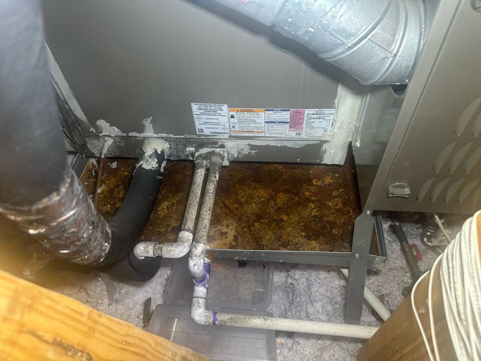 Performing a free second opinion of one Carrier system 