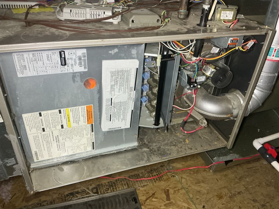 Performed gas heating maintenance on a carrier furnace.