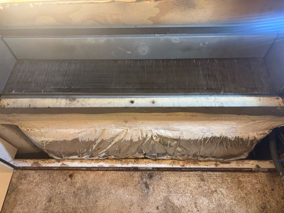 Evaporator coil cleaning 