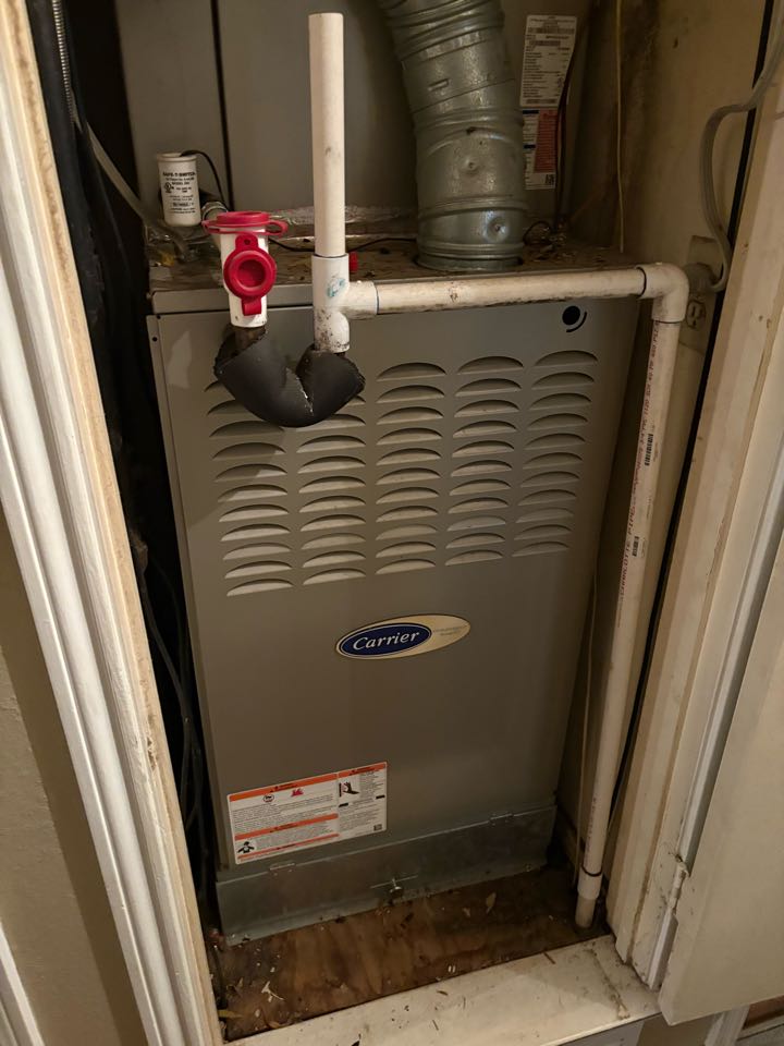 Performed a heating tune up on a carrier gas furnace in McKinney 