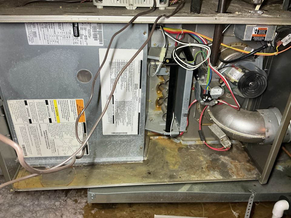Performed gas heating maintenance on a carrier furnace