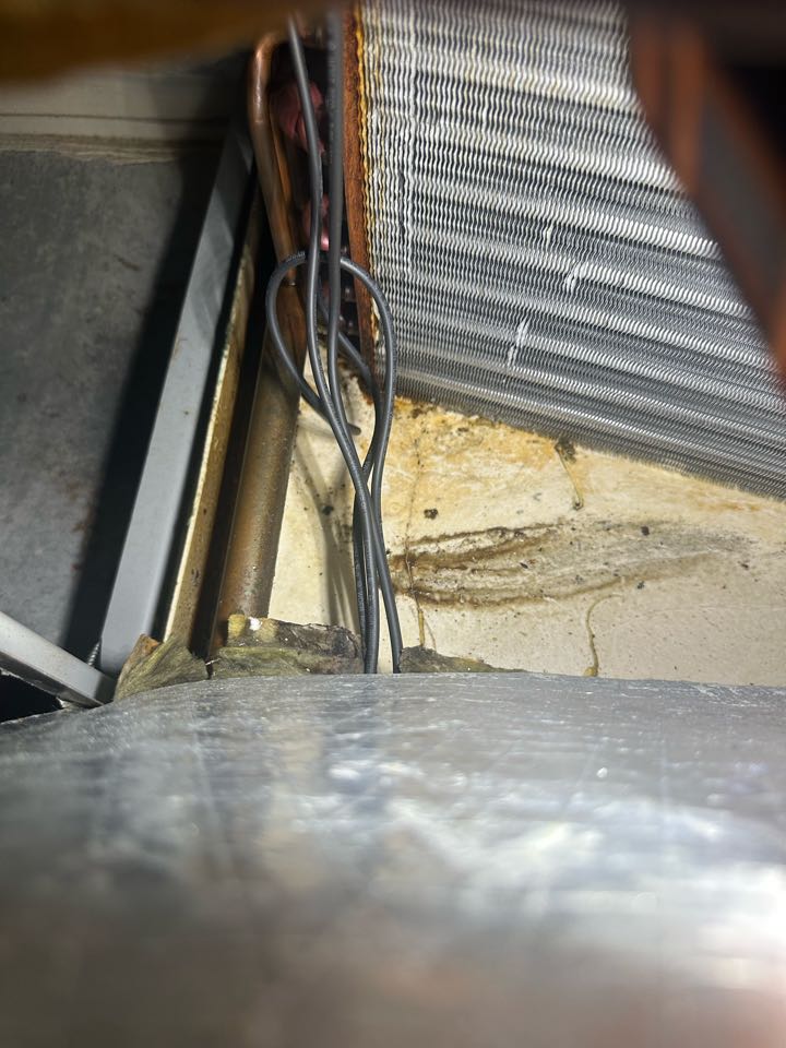 Inspecting a Lennox evaporator coil for leaks