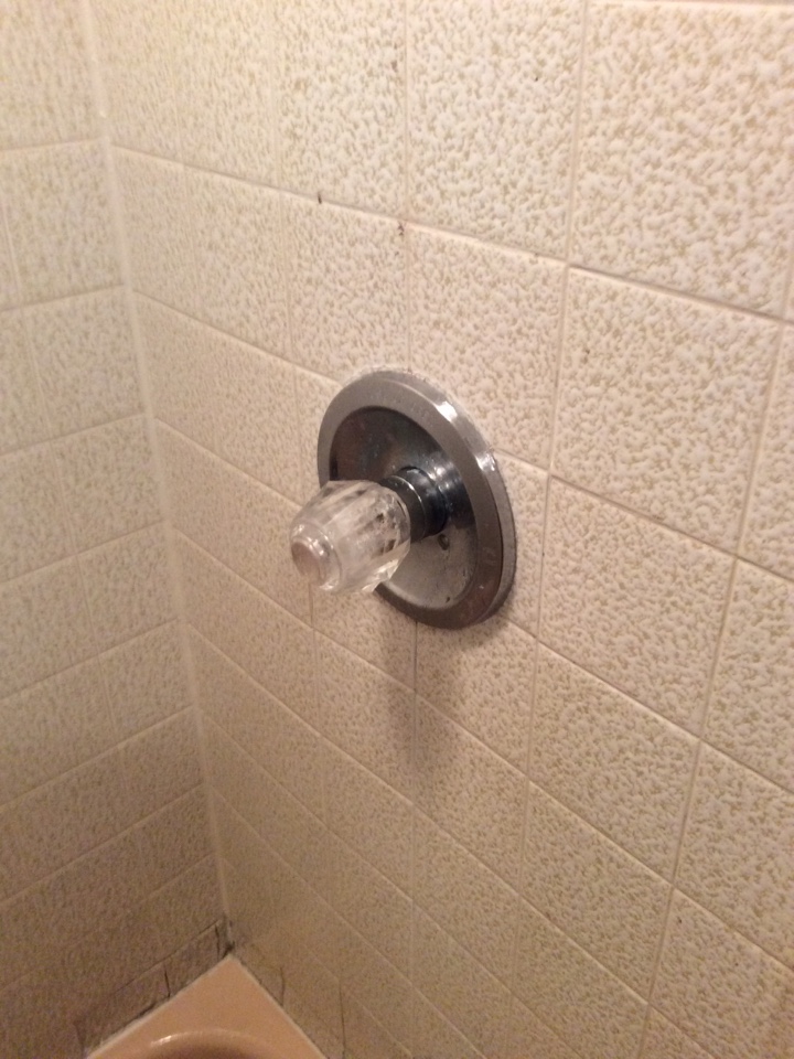 Rebuild delta shower valve and Eljer toilet.