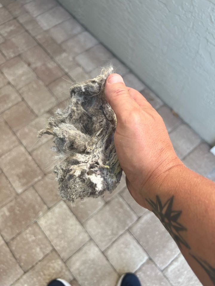 Dryer vent cleaning Delray Beach 