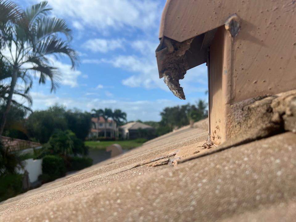 Dryer vent cleaning Jupiter 