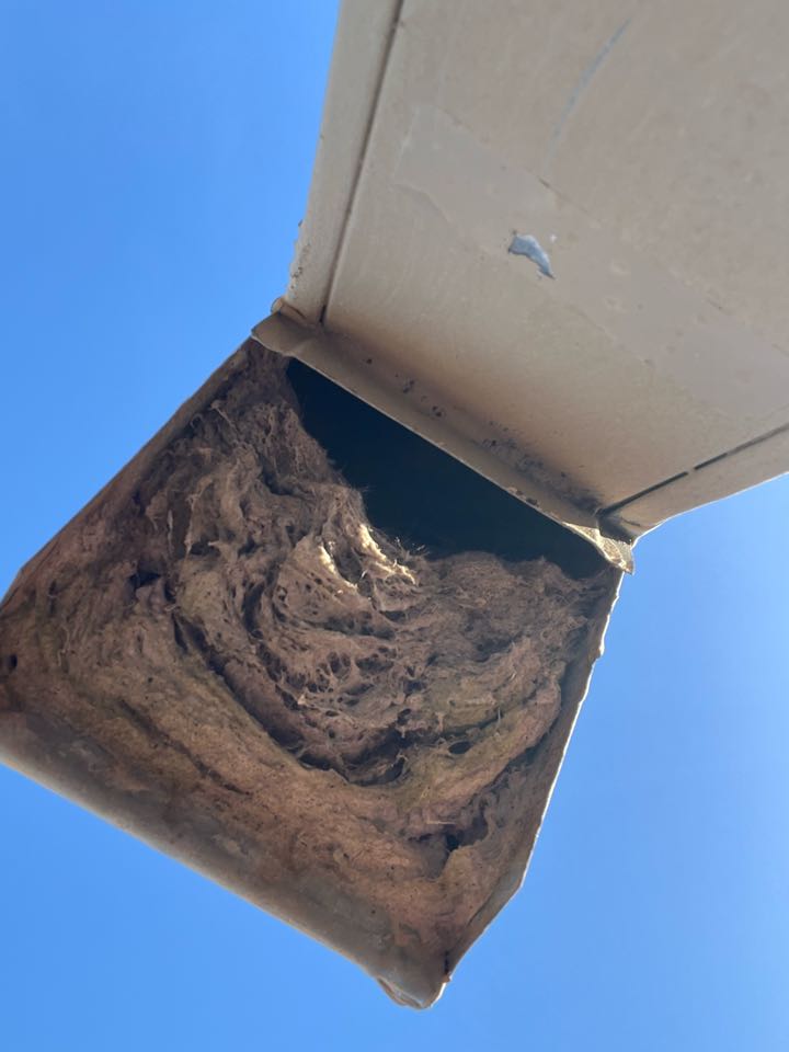Dryer vent cleaning Boynton Beach 