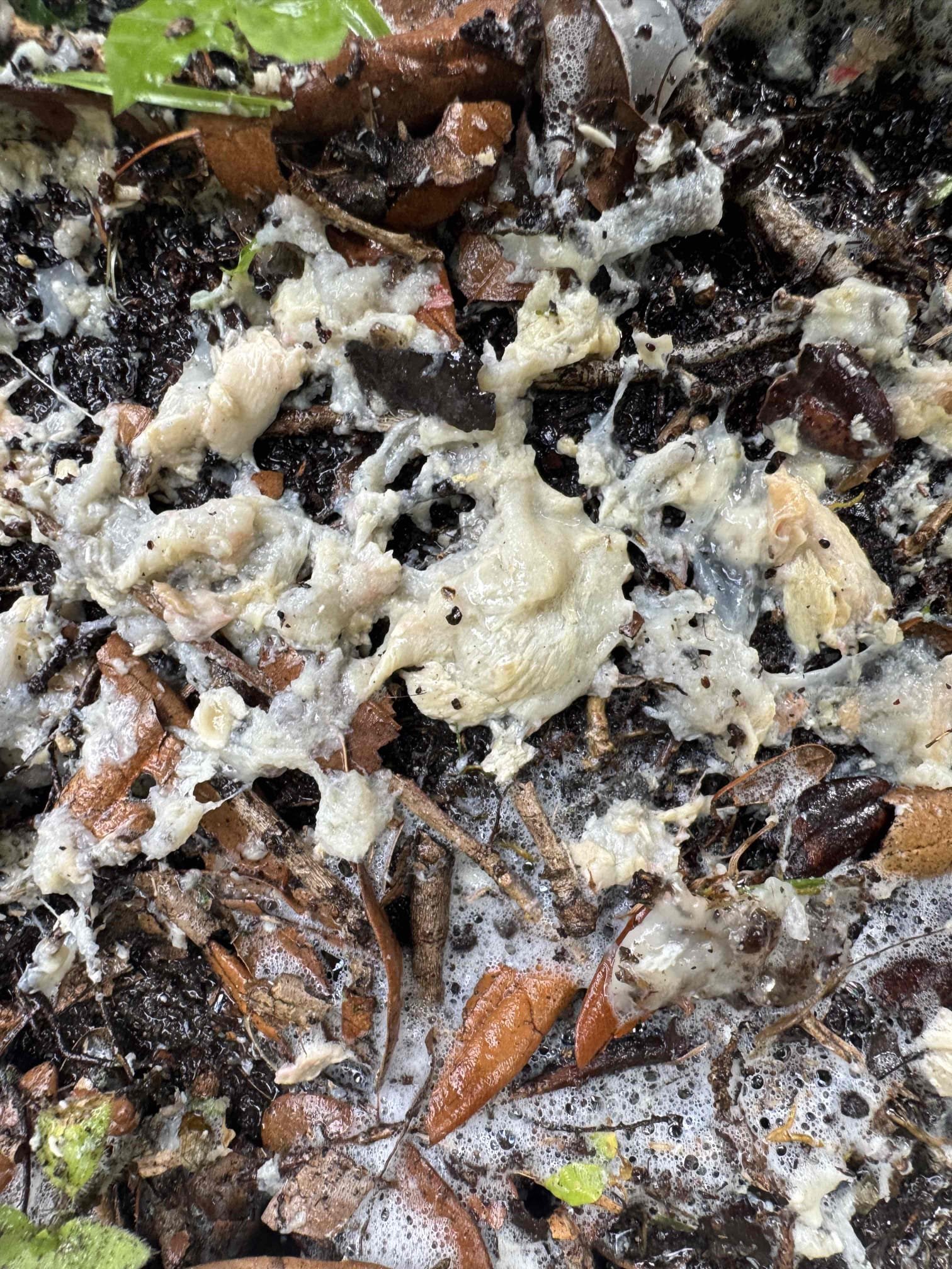 No cool
Found float switch tripped, clogged drain line
Flushed vacuumed and cleaned drain line
Treated drain pan and left pan tabs
Tested system function after repair