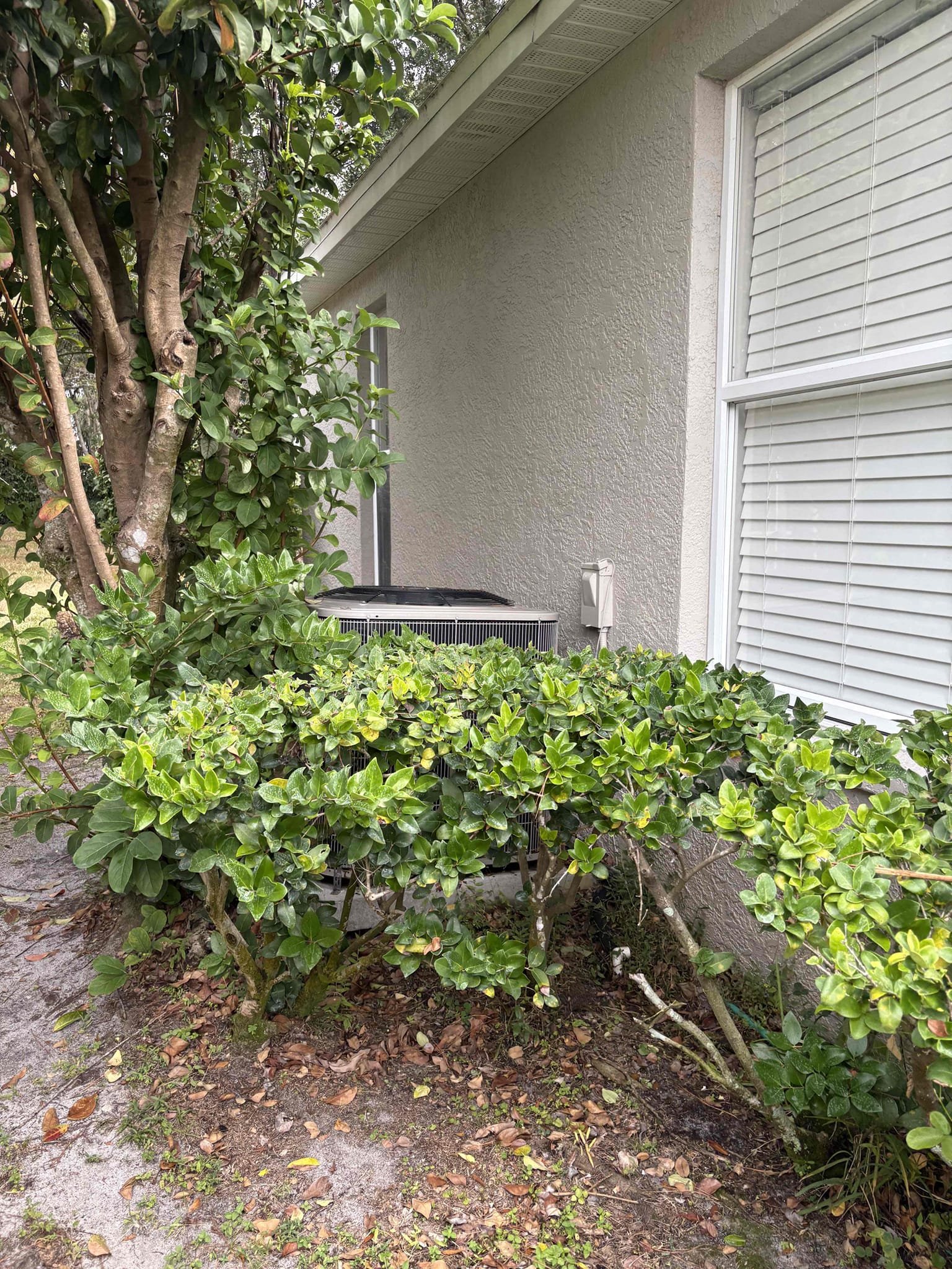 Home owner states unit is not blowing air throughout house. Found failed air handler motor. Also found buildup in drain pan. Unit has not been serviced in 3 years. Recommend replacing motor in order to check pressures and temperature splits. 

Air purifiers installed backwards. Purifier with shield installed motor side when should be protecting 4” media filter. 
Clear Drain Line & Pan Complimentary  

Replaced air handler motor and verified operations 

Cleared drain line and drain pan 