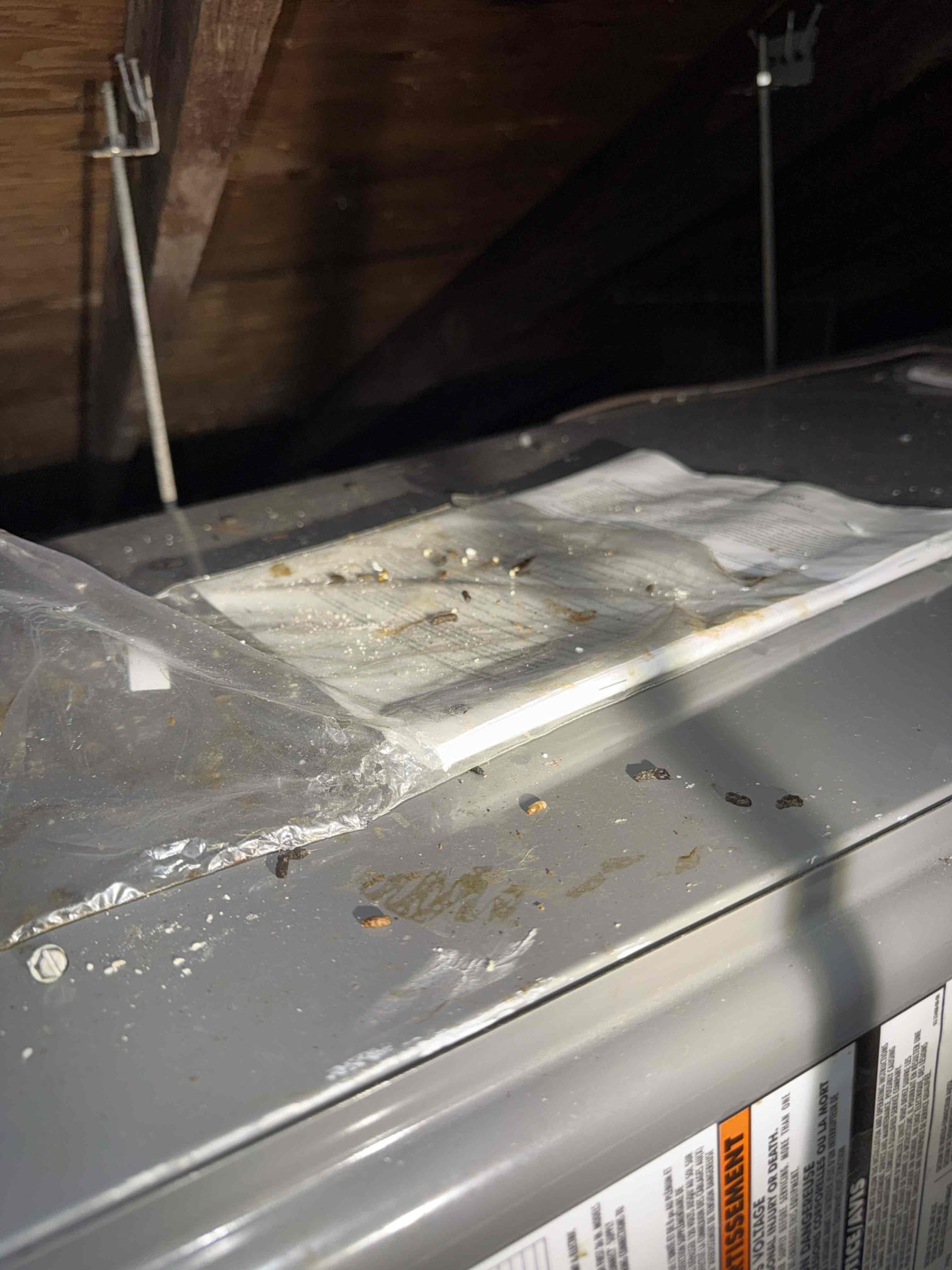 Performed Maitenence on system. Cleaned/treated drain line and primary drain pan. Cleaned condenser coils. Evaporator coils are clean. Verified safety float switch functionality. Checked amp draw on compressor. Checked amp draw on fan motor. Checked capacitor is within factory range. Made sure all connections are tight. System is cooling with a 20° temperature split at this time.

Inspected duct work and found holes in duct work. Duct work supply runs are not strapped up properly or sealed properly. There are multiple ducts burried under insulation or laying on top of eachother. The Duct System is also very old and we are recommending replacement at this time. Quote sent for replacement