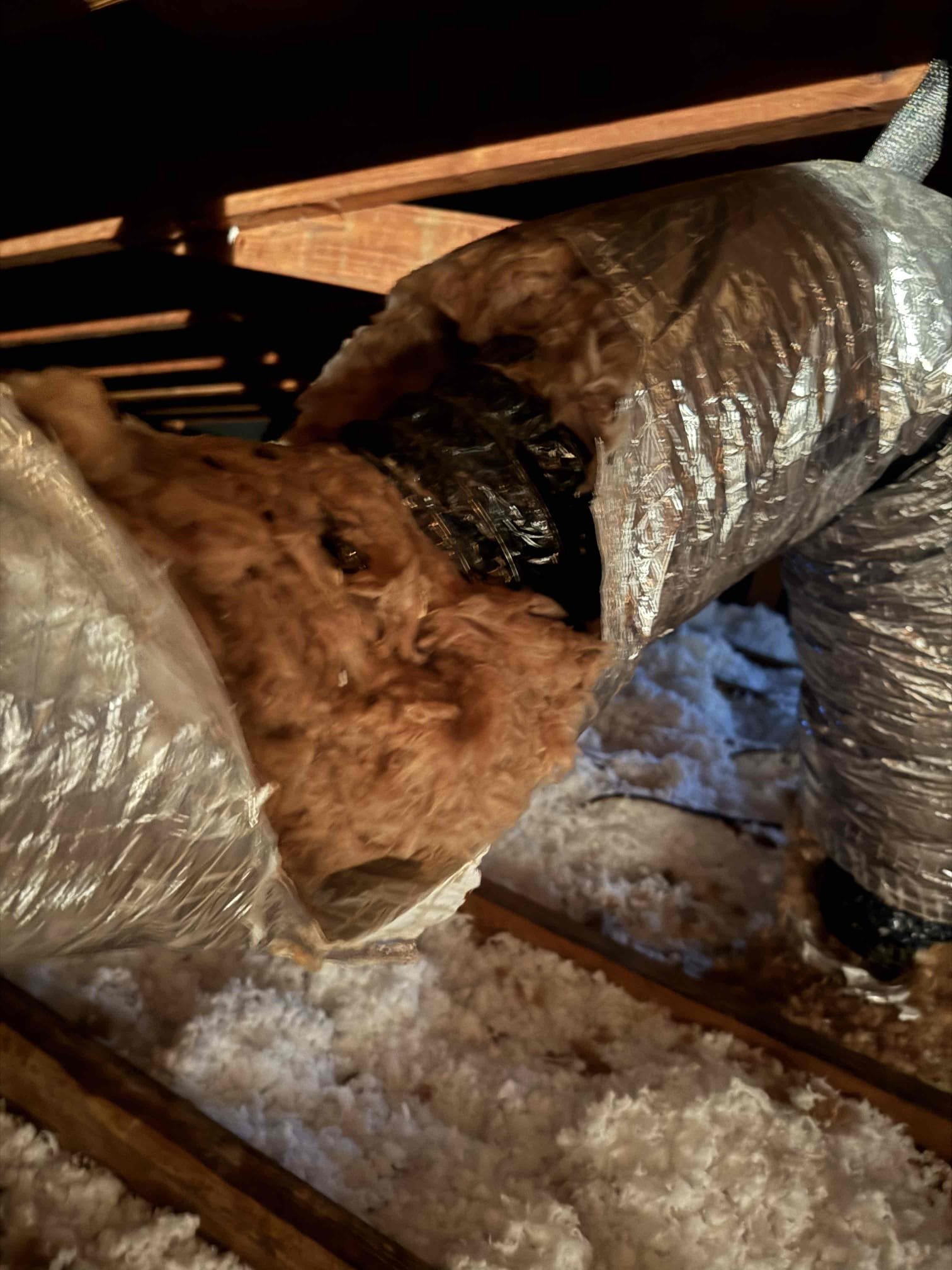 On arrival found unit not cooling due to bad blower motor. Will submit estimates for repair and replacement options. Unit not operating at this time. 