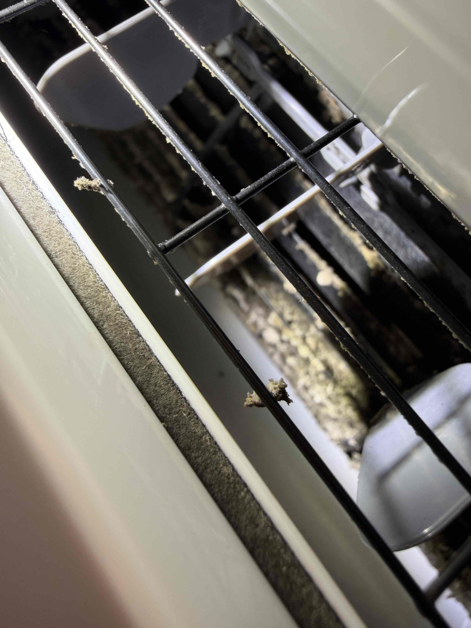 Performed Tune ups on mini split systems. 
- Cleaned condenser coils. 
- Cleaner Evaporator coils. 
- Cleaned and treated drain lines & primary drain pans. 
- Cleaned air filters. 
- Checked Temperature Splits. 18-19° splits (good). 
- Inspected Blower wheels on both head units and found a substantial amount of Microbial Growth. 
- Quotes sent for Cleanings and UV Prevention. 
- Quote sent for membership Maitenence plan to receive 10% discount on cleanings and UV installs. 
- Client is sending quotes to Owner of the home. 