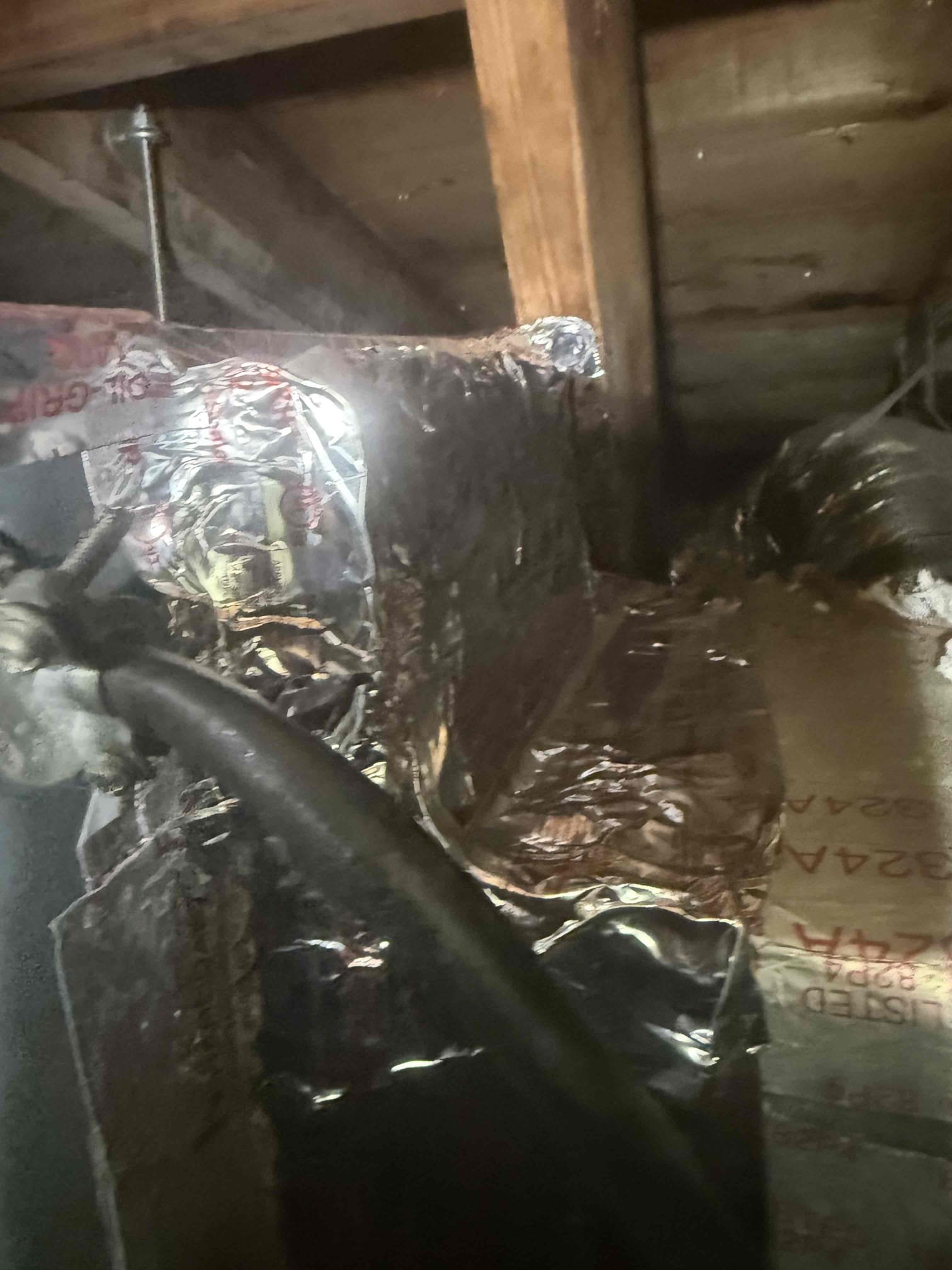 - Add transition to top of supply plenum and properly tape and mastic seal entire supply plenum to the Unit. (Plenum is currently dumping air out of the top connection point). 
- Re-Tape and Mastic seal all duct work connections to supply plenum and accessible boots. (Mastic boot connections to duct work while they are being insulation taped to ceiling for easy accessibility). 
- Replace 6” duct run that has multiple holes from rodent damage. This duct run is supplying air to the living room above the TV. Use existing collars and boot. 
- Re-Strap up any and all duct work that is not strapped up. When ducts are strapped up, **Spread out existing white blown in insulation under ducts**. 
- Unscrew all supply Grills and install new insulation tape on all boots for proper seal. (VERY IMPORTANT) 
- Clean all growth off ceiling where the supply grills are. 
- Install New UV light Inside Air Handler between coil and Blower. ( Blower door is hard to remove but possible). 

** PICTURES OF EVER