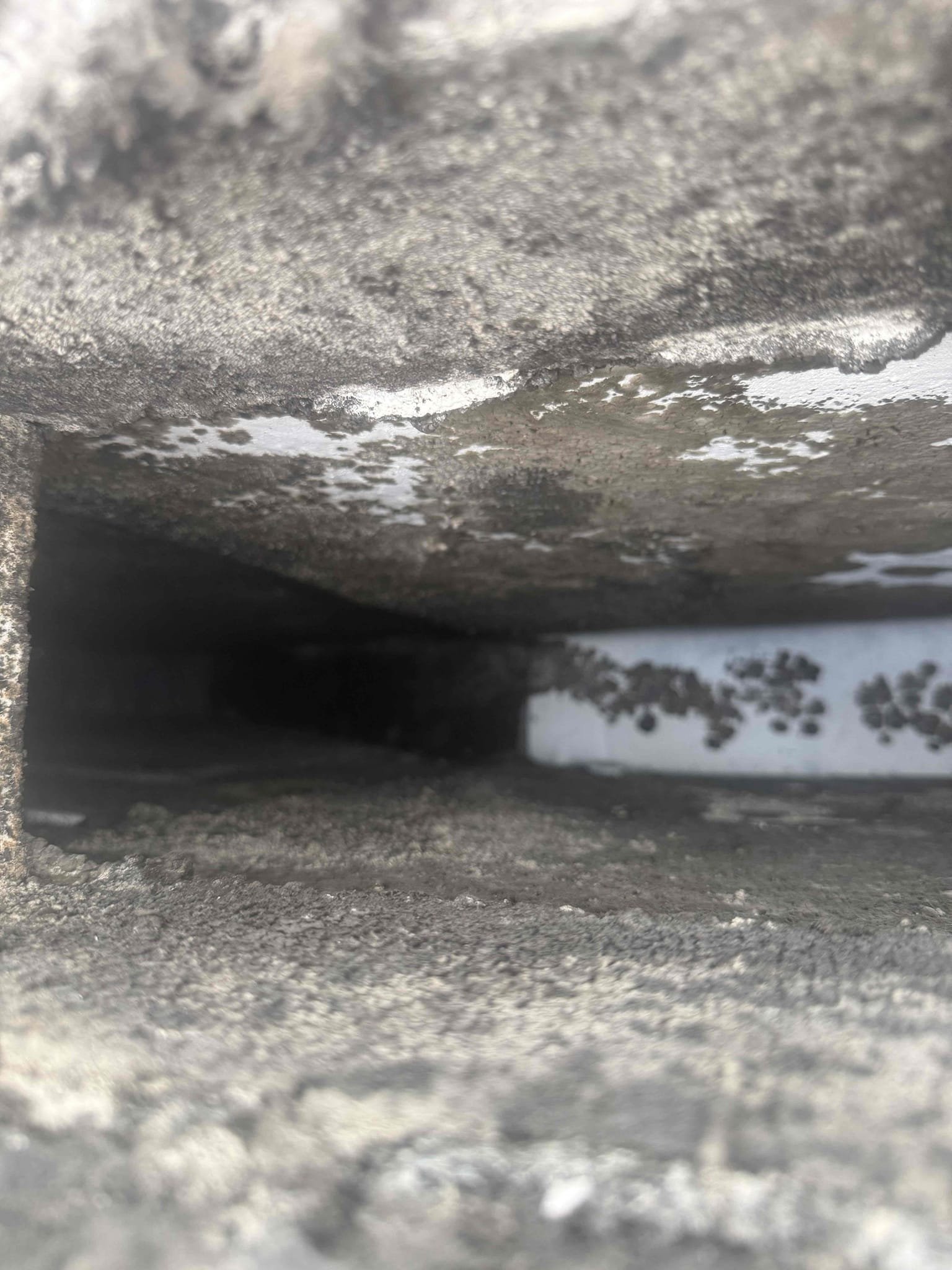 Performed maintenance on 2 systems. Amp draws good. Temp splits good. Cleared pans and drains. Units water pipes insulated properly. Added chemical to help prevent growth. Inspected ducts and found large amounts of growth. Recommend to have ducts cleaned by Ductz as air bros does not clean sheet metal trunk lines. Electrical checked good. Bedroom unit has operational float switches Remove existing for drainage overflow. Will submit estimate for recommendations. Both units operating at this time. 