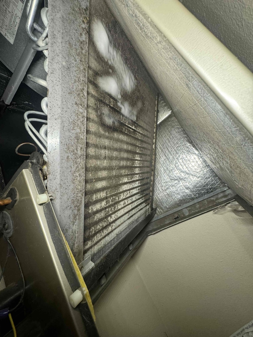 Full System Tuneup 

*Bacterial growth on blower wheel/assembly 
*Air Handler coils impacted with debris/hair 