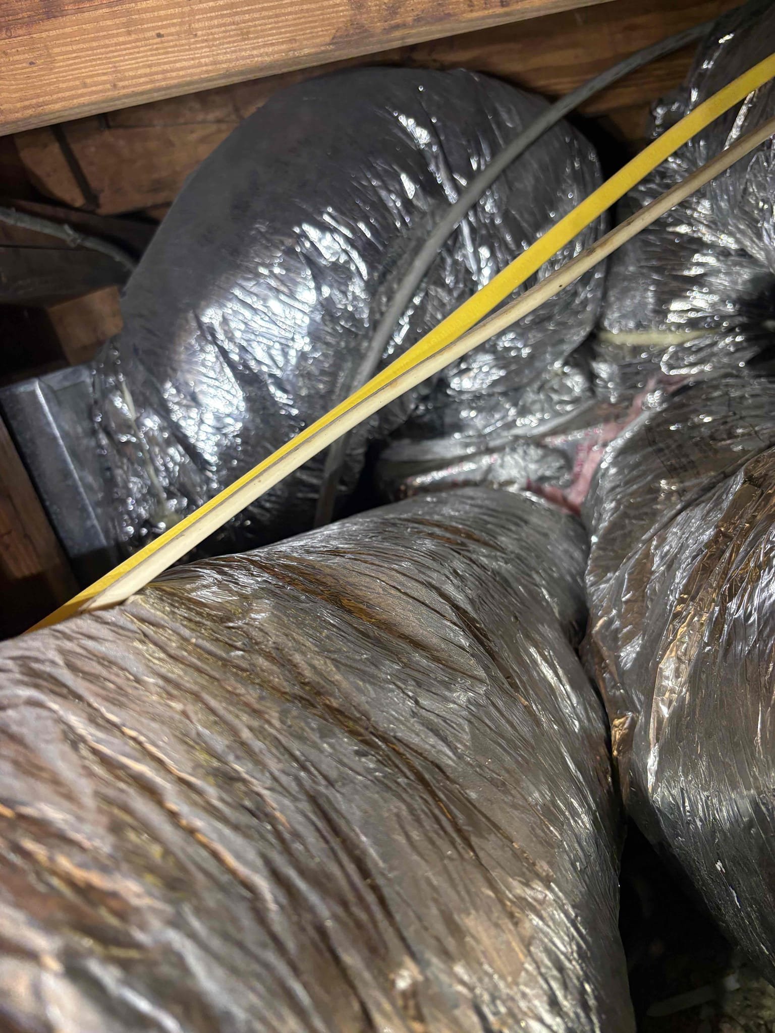 Full System Tuneup 

*Bacterial growth on blower wheel/assembly 
*Air Handler coils impacted with debris/hair 