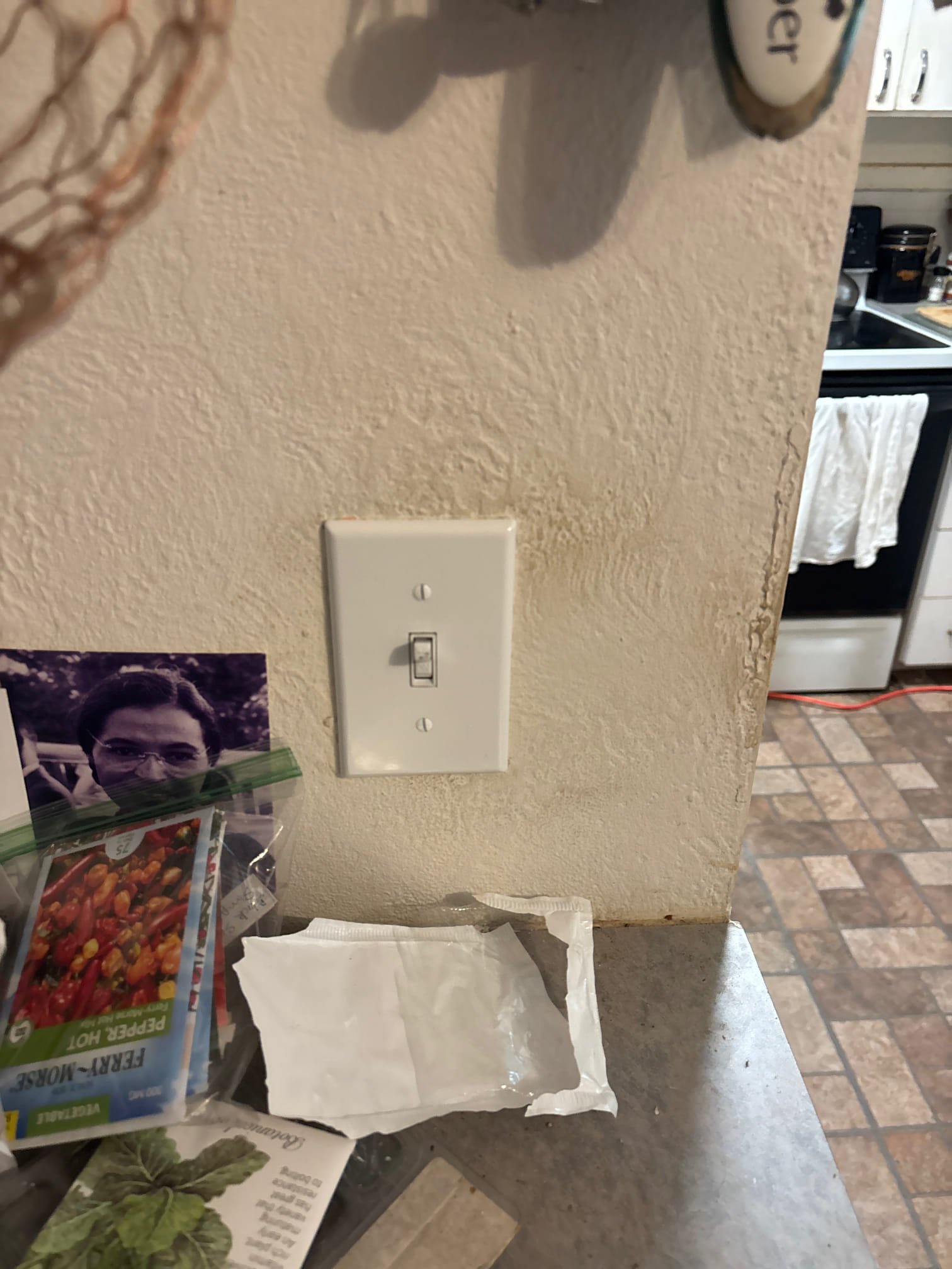 Replace ceiling fan with customer supplied light fixture and replace switch 