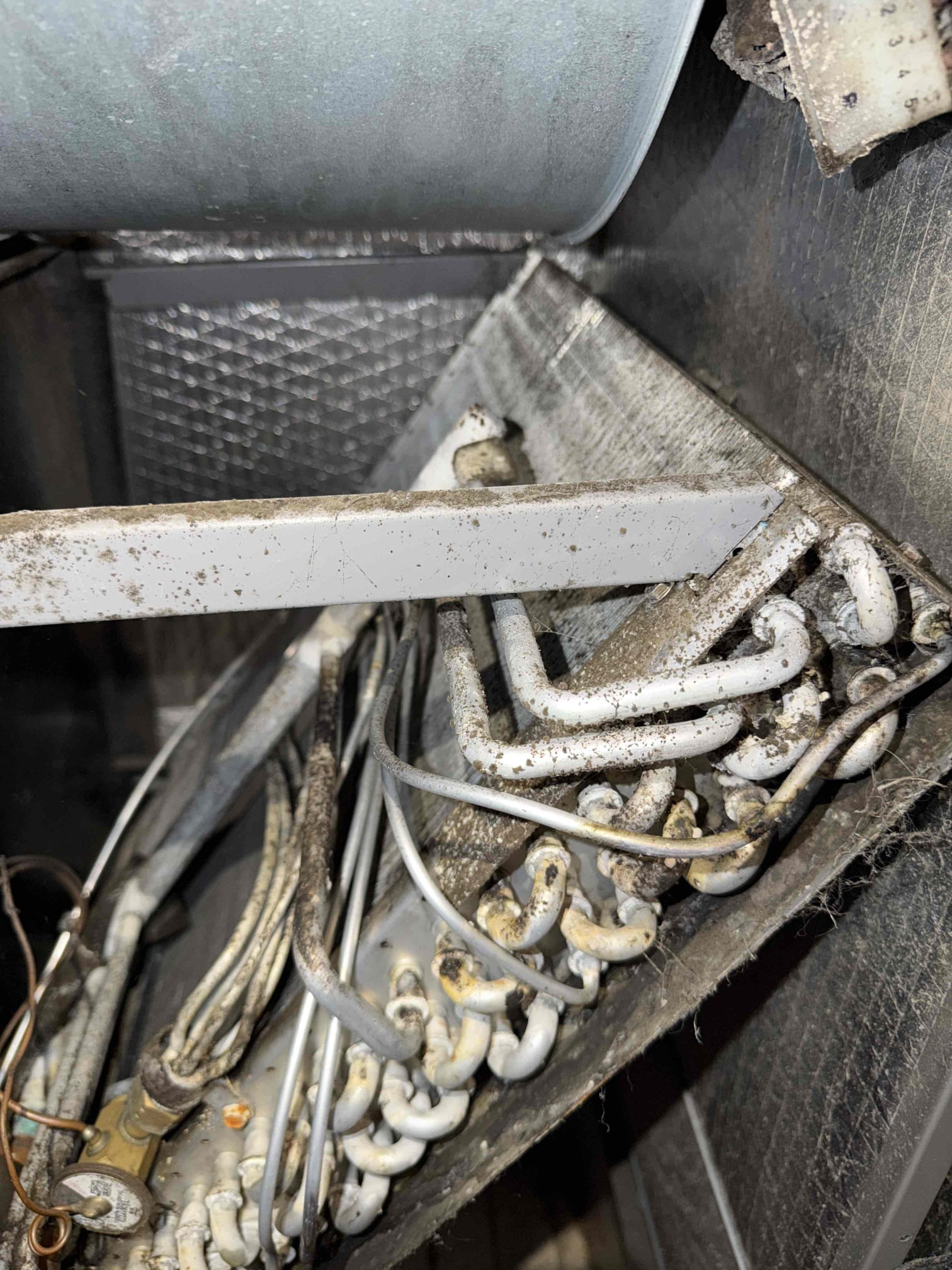 Upon my inspection, found severely dirty and impacted evaporator coils and blower wheel/housing inside the air handler. There is a heavy amount of growth inside the unit. We recommend a full removal of the evaporator coils and blower wheel to clean/sanitize. With these cleanings we recommend installing a UV system inside the unit to help keep the system clean in the future. Presented options for full system replacement as system is 8 years old as well as a full cleaning and uv system installation. Client is only interested in cleanings and uv at this time. 
Client is not the owner and she will be in contact with the owner to take care of this.