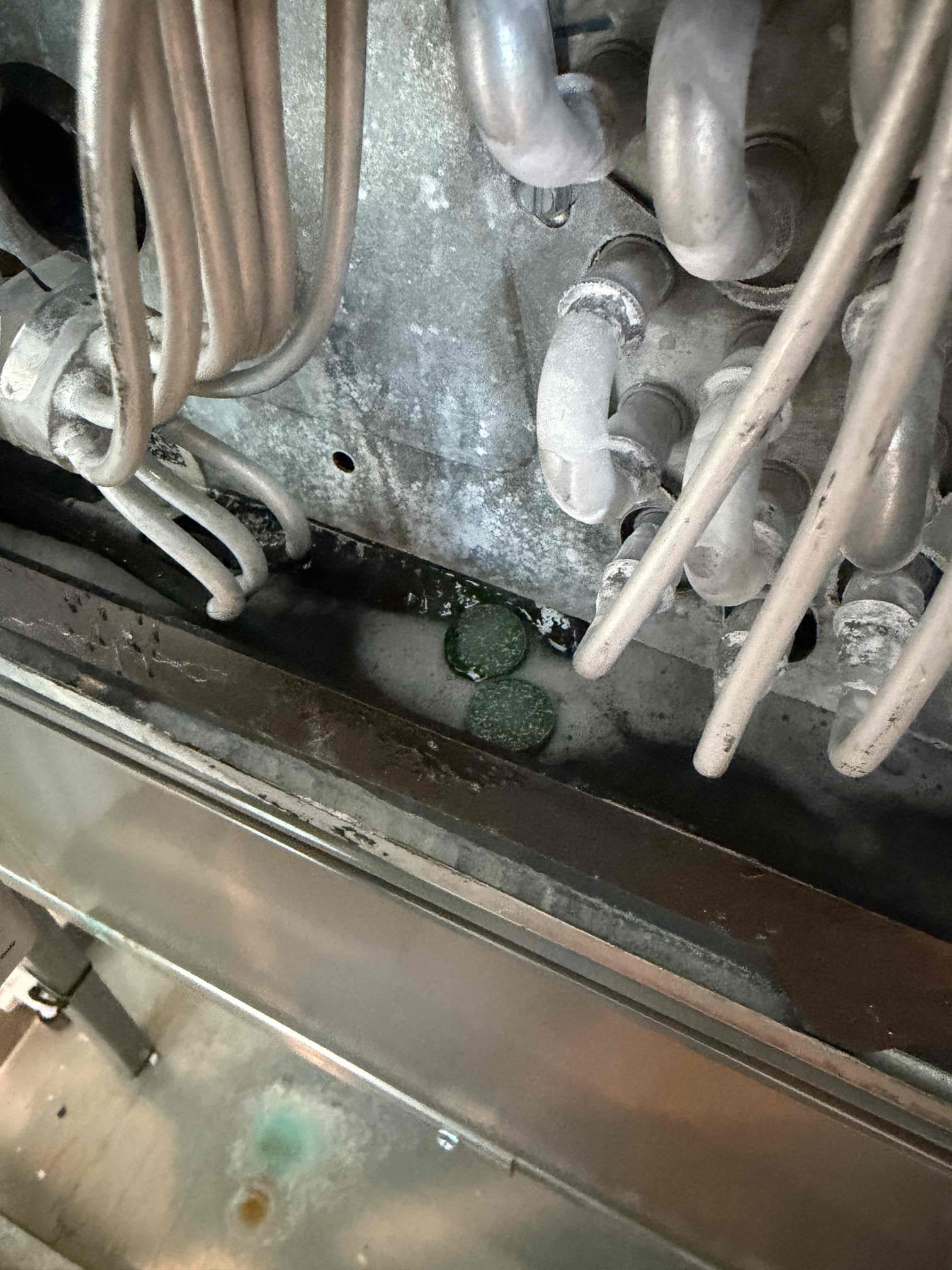 Performed Maitenence on system. Cleaned/treated drain line and primary drain pan. Cleaned condenser coils. Evaporator coils are clean. Verified safety float switch functionality. Checked amp draw on compressor. Checked amp draw on fan motor. Checked capacitor is within factory range. Inspected Contactar. Made sure all connections are tight. System is cooling with a 20° temperature split at this time.
Verified heating operations. 
UV system is working at this time. 