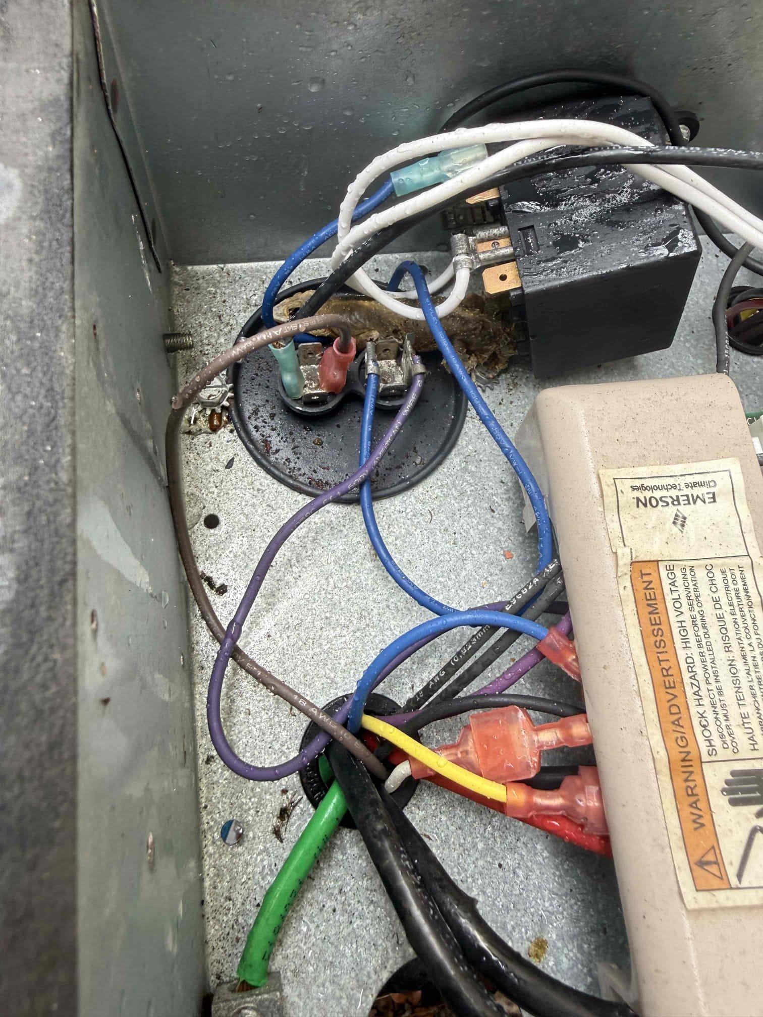 Reason for call:
tune up 

Equipment:
Unit 1 
2012 rheem 5 ton heat pump 

Unit 2 
2025 ruud 2 ton heat pump 

Unit 3 
2021 carrier 2 ton heat pump 

Summary:
Completed Maintenance to find operation of equipment within the manufacturing specifications. Flush drain line thoroughly. Minor cleaning on both indoor and outdoor coil. Filters have been maintained properly. Found unit one ruud flat on charge. We topped this unit off at the last visit. Homeowner is interested in replacement and will decide by Monday. 

Solution:
Presented Findings to homeowner and provided and estimate including 15 seer and 18 seer replacement options for 2012 5 ton. Try to reserve Friday 3/6 for install no confirmation yet. 


Thank you for trusting Air Bros with your hvac needs. If you feel you received a 5 star service please feel inclined to leave us a google review. Thank you. 
Your technician Corbin. 