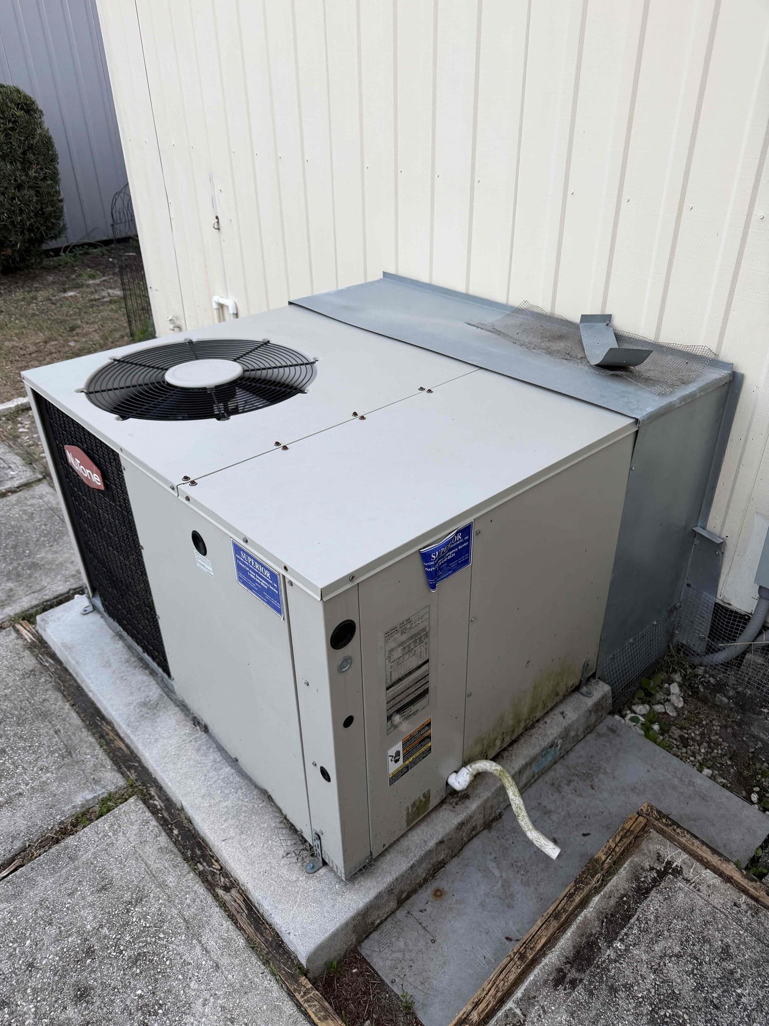 Upon my inspection, found thermostat not receiving 24 V. Checked package unit for proper high voltage and 24 V from the transformer. Found that the old humidistat underneath the thermostat was set to the off position which was not allowing 24 V to pass to the thermostat. Turn the humid thermostat on and system started up. Check the capacitor and amp draw readings at the unit. System is cooling at this time. 
Found heavily dirty/impacted air filter. Clean filter for Client but recommended buying disposable filters. It sounds as if the blower motor is having a hard time sucking air through the air filter.