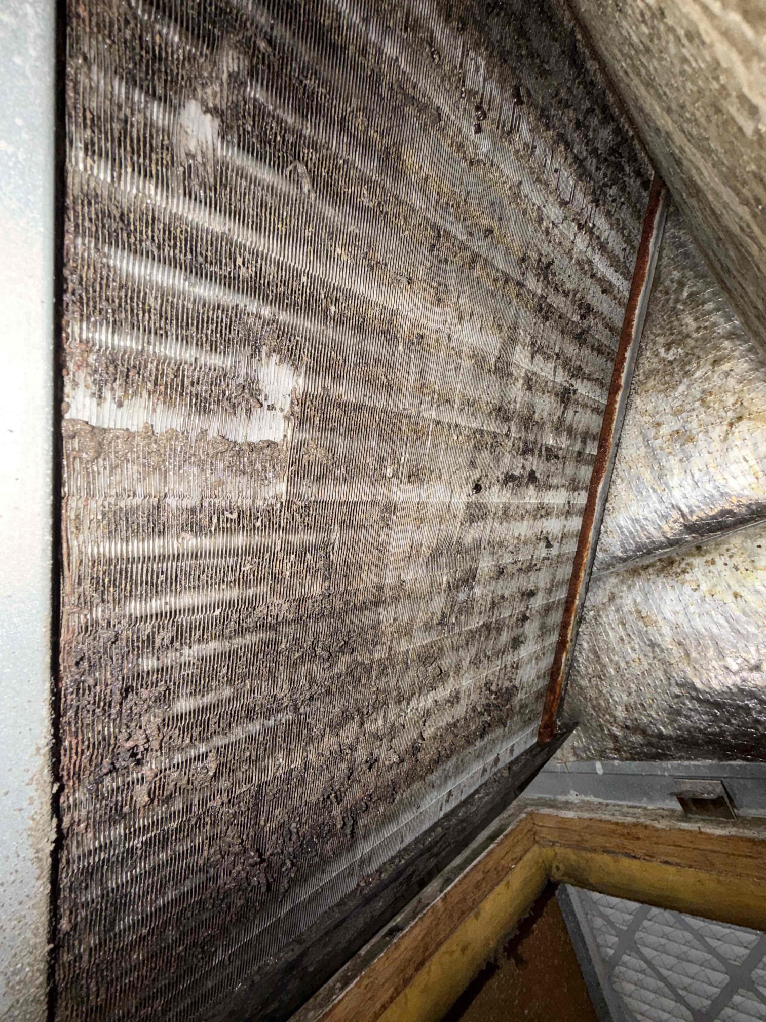 25 year old system in poor condition. Client would like a quote for new system. Quote sent to client. Refund $95 with install 