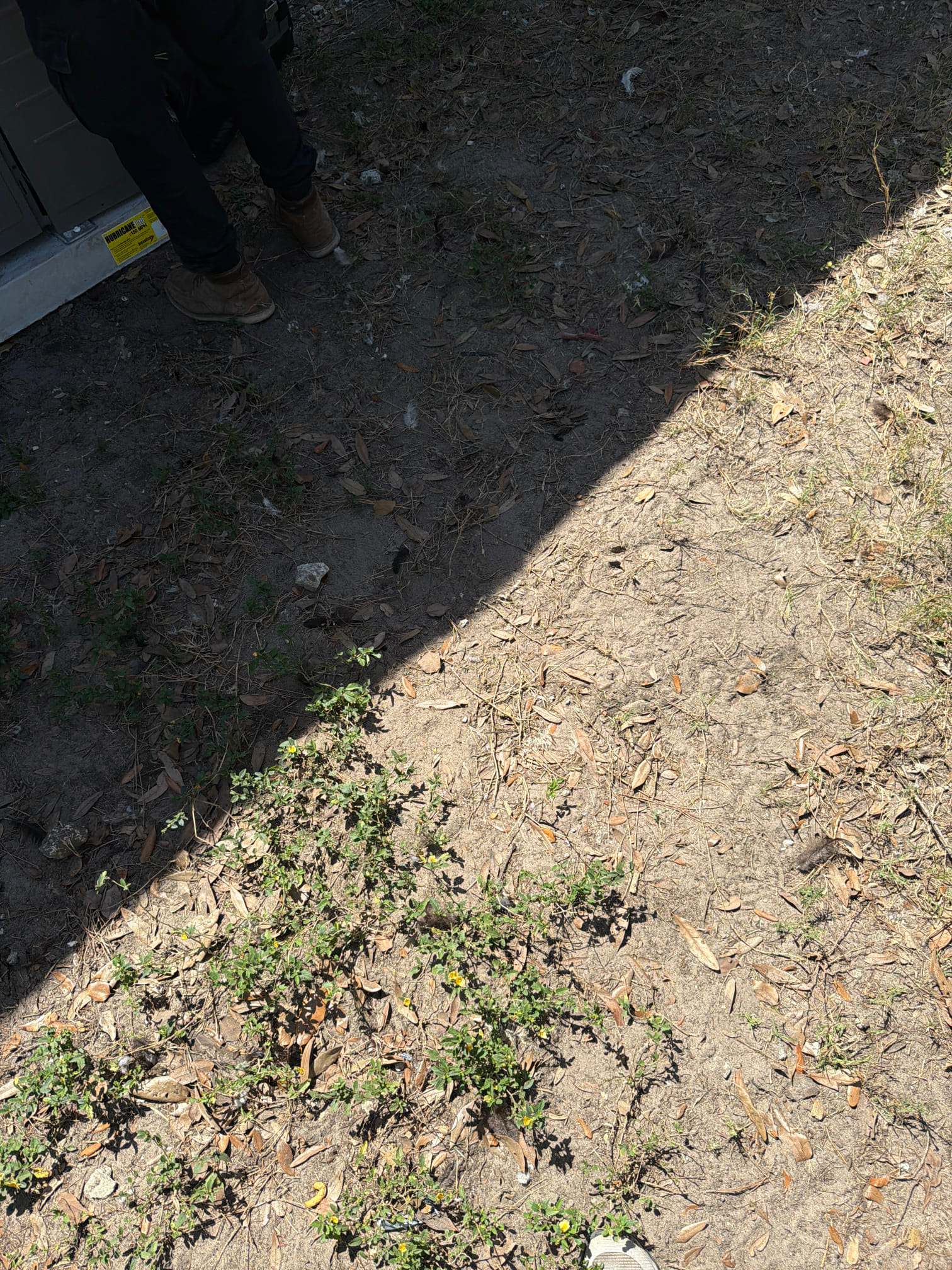 3 ton Ruud 18 seer invertor 
Heat pump
10 year parts warranty
3 year labor warranty
18 months 0% financing avail 
Qualifies for 1,000$ Duke rebate
-Hurricane pad
-Permit
-Hurricane tiedowns
-UV rated armorflex
-Replace breakers as needed
-Adjustable air handler stand
-4” filter
-Heat w breaker 
-Condensate pump
-Safeties
-Thermostat
-New drain line w clean out

