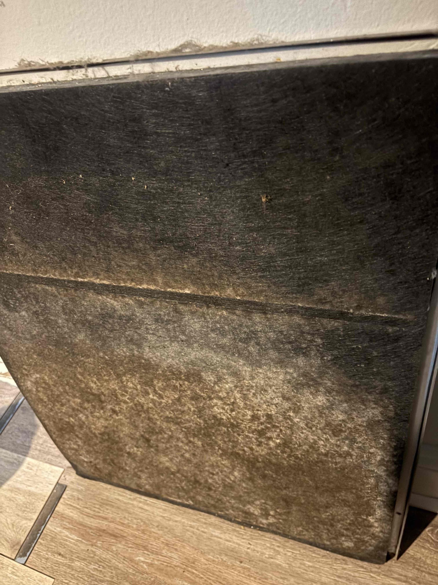 Upon arrival home owner states unit is not operating at all. Found drain line heavily backed up causing safety to turn system off. Further diagnosis found bacterial growth accumulation inside air handler and on blower assembly. Went over issues with bacterial growth and remediation. Went over options for drain line clearing and maintenance plan. 

Home owner would like to clear drain line and sign up for maintenance plan.

Nitrogen purged drain line and shop vacuumed. Cleared p trap and drain pan. Added pan tab to help with growth. 

Verified system operations 