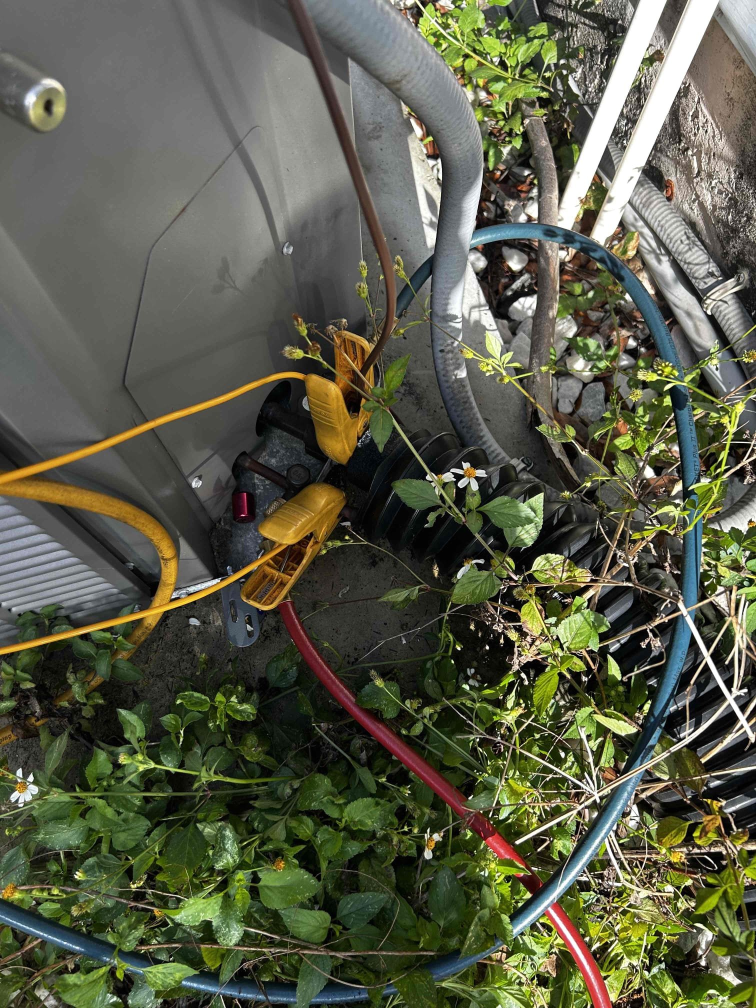 Upon arrival home owner states unit is not operating at all. Found drain line heavily backed up causing safety to turn system off. Further diagnosis found bacterial growth accumulation inside air handler and on blower assembly. Went over issues with bacterial growth and remediation. Went over options for drain line clearing and maintenance plan. 

Home owner would like to clear drain line and sign up for maintenance plan.

Nitrogen purged drain line and shop vacuumed. Cleared p trap and drain pan. Added pan tab to help with growth. 

Verified system operations 